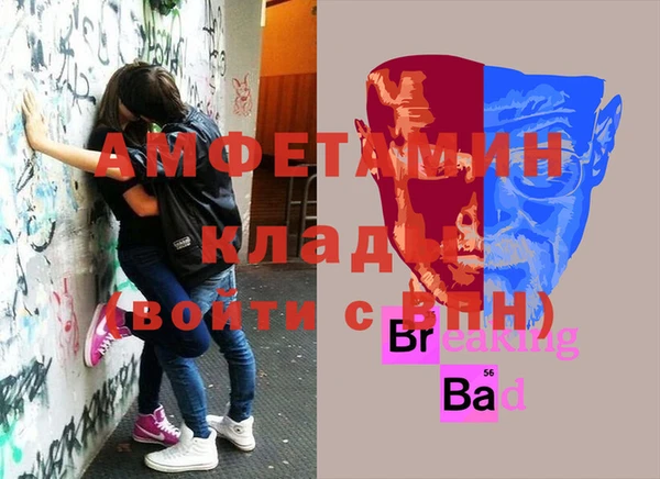 индика Пересвет