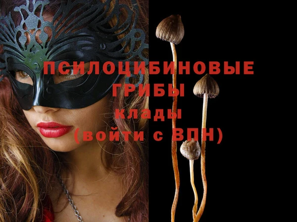 индика Пересвет