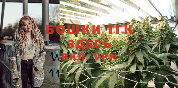 соль ск Осташков