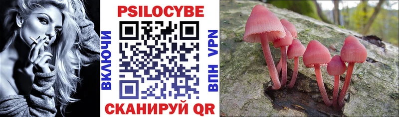 Псилоцибиновые грибы Psilocybine cubensis  Балахна 
