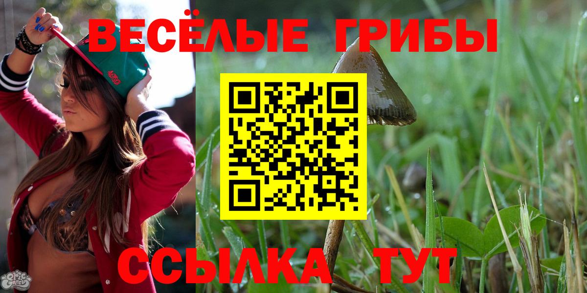 Галлюциногенные грибы прущие грибы Балахна